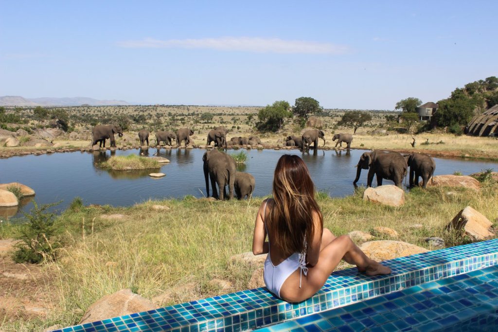 12-Day Solo Private Luxury Flying-in Kenya, Tanzania Safari and Diani Beach Zanzibar