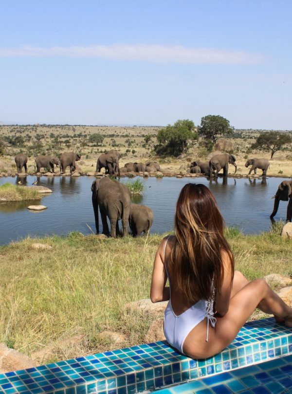 12-Day Solo Private Luxury Flying-in Kenya, Tanzania Safari and Diani Beach Zanzibar