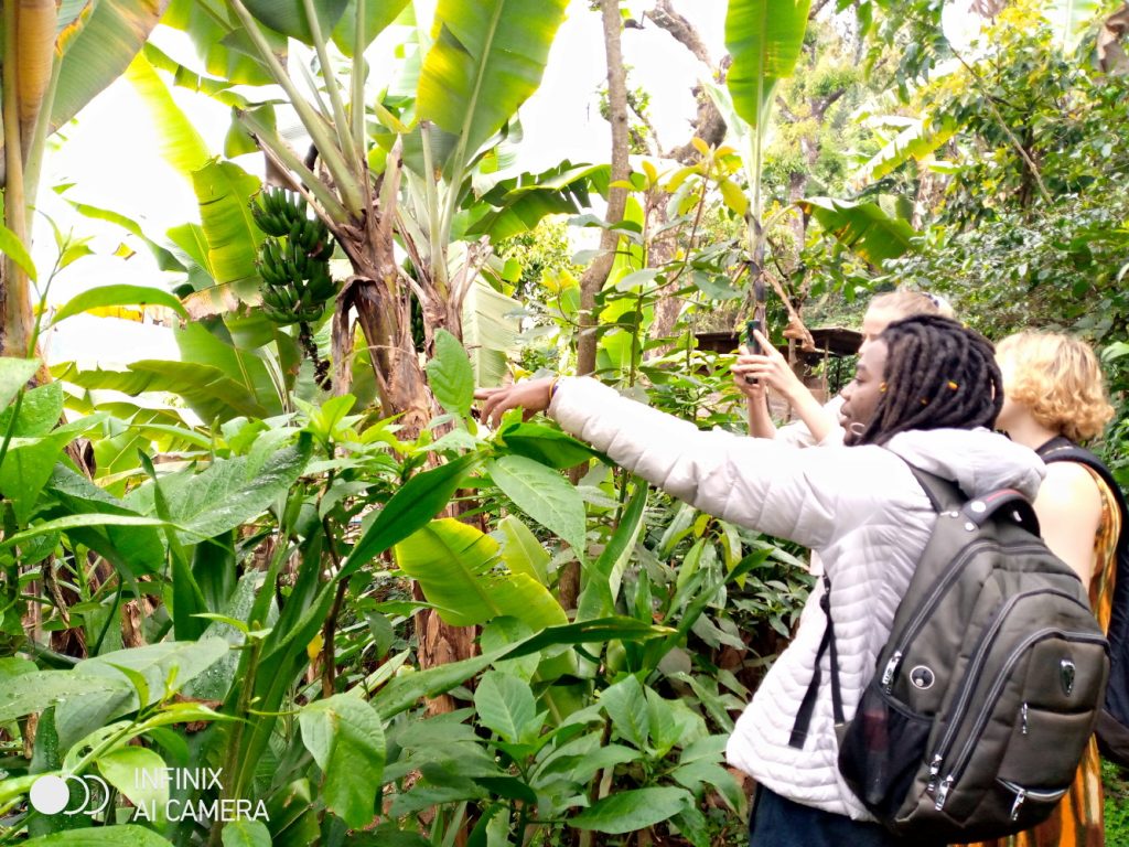 Materuni Waterfalls, Chagga Cooking Class & Coffee Tour | Moshi