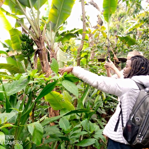 Materuni Waterfalls, Chagga Cooking Class & Coffee Tour | Moshi