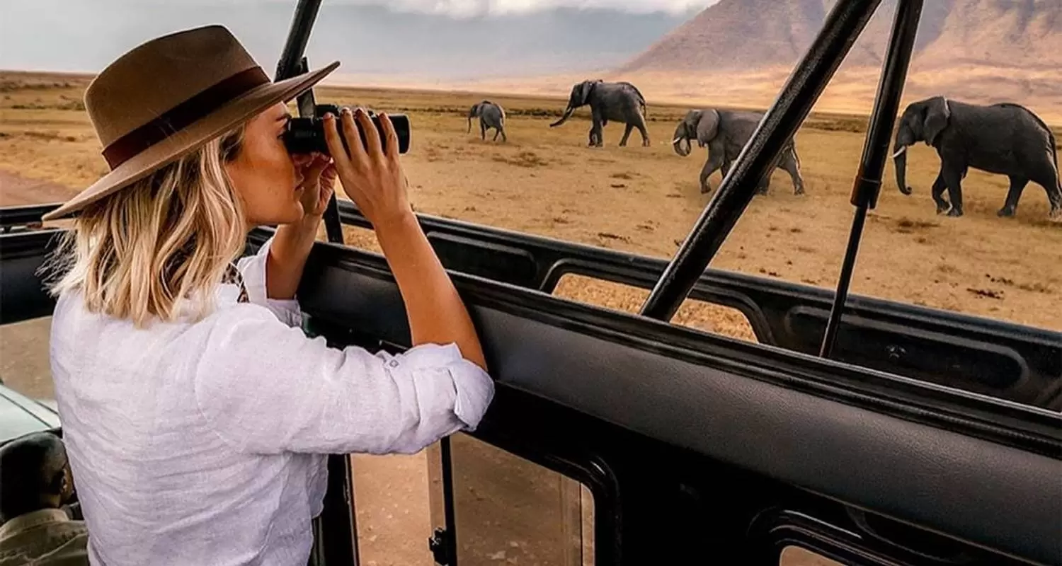 Tanzania Solo Safaris with Climb Climb Kilimanjaro and Tanzania Safari