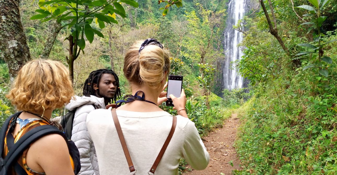 🗓️ What is the Best Time to Visit Tanzania for a Safari?