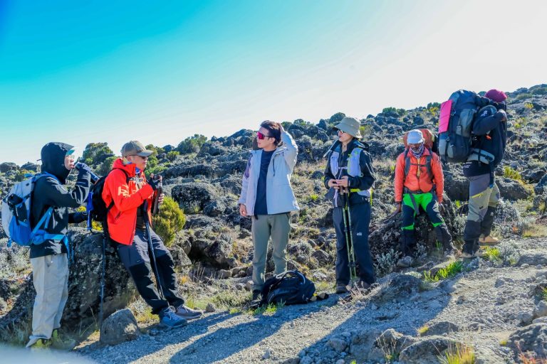 What to Pack for a Tanzania Safari or Kilimanjaro Trek: The Definitive Guide