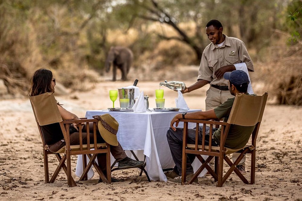 Couple dining at a beachside table with a waiter pouring water; an elephant is visible in the sandy background.