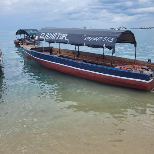 Wooden boat with a dark canopy labeled GLADIATOR moored at a calm, sandy shoreline.