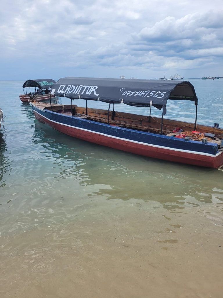 Wooden boat with a dark canopy labeled GLADIATOR moored at a calm, sandy shoreline.
