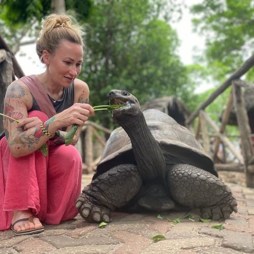 Tattooed woman kneeling on a brick path feeds a large tortoise a leaf.