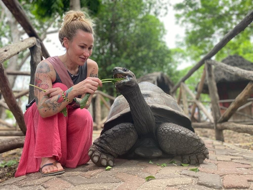 Tattooed woman kneeling on a brick path feeds a large tortoise a leaf.