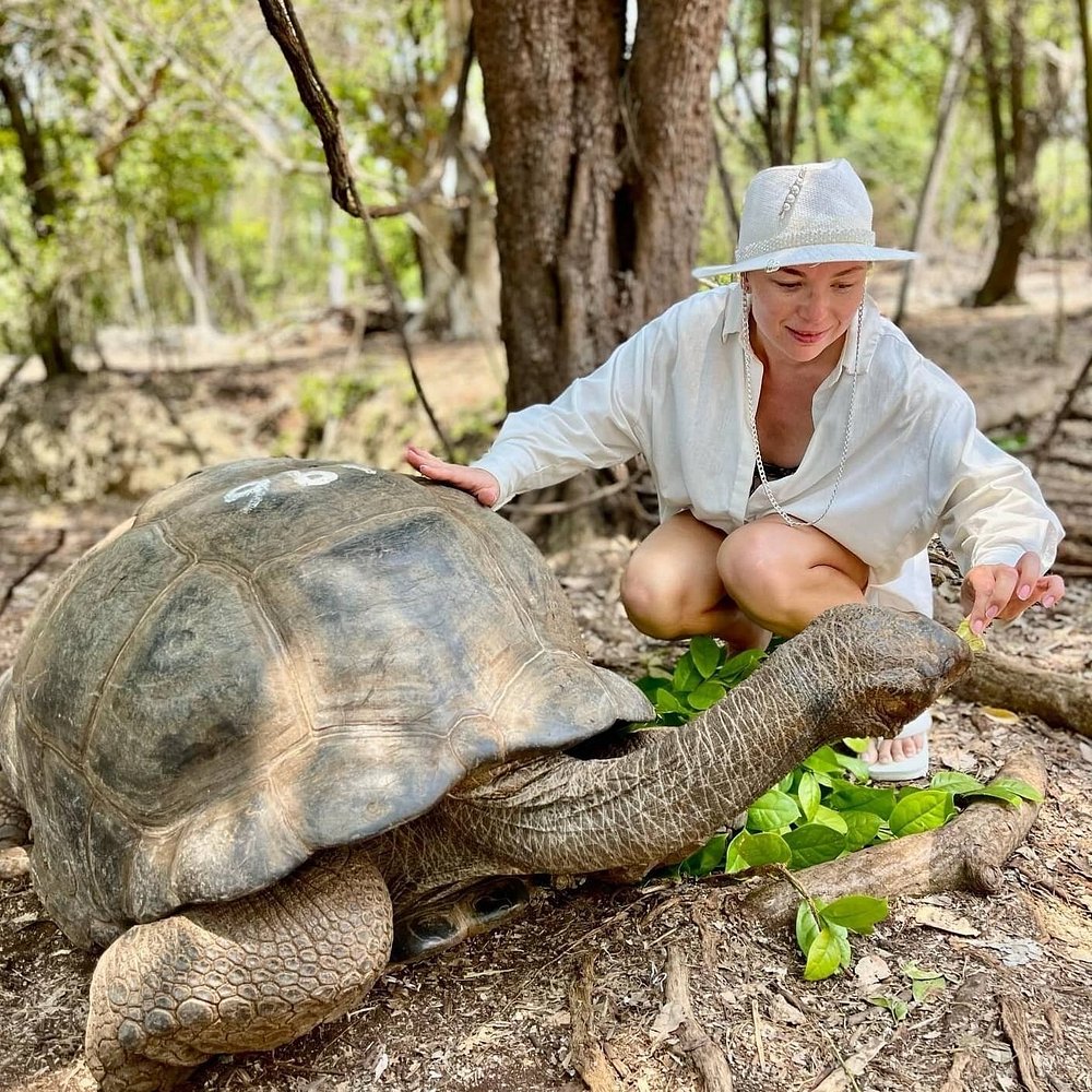 Woman in a white shirt and sun hat crouches beside a large tortoise in a forest, offering a leaf to its mouth.
