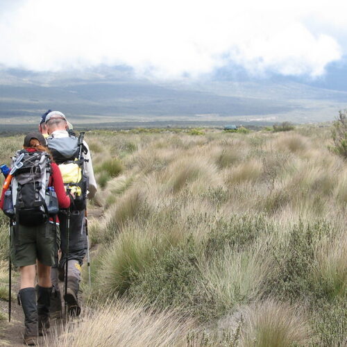Mount Kilimanjaro Day Hike Shira Plateau with Climb Kilimanjaro and Safaris