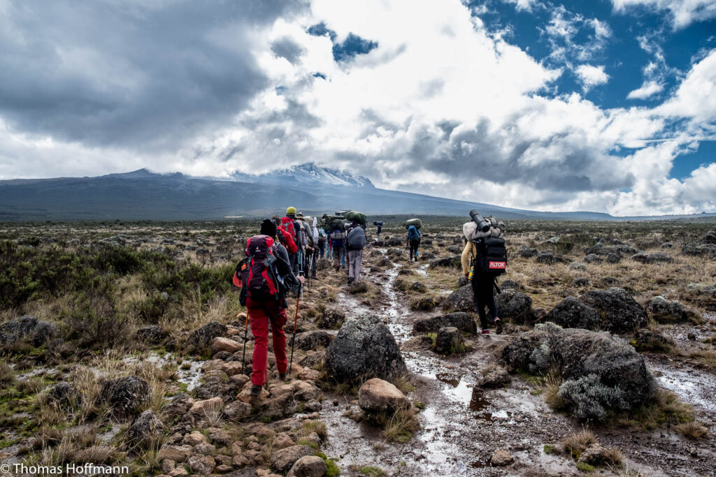 Mount Kilimanjaro Day Hike Shira Plateau with Climb Kilimanjaro and Safaris