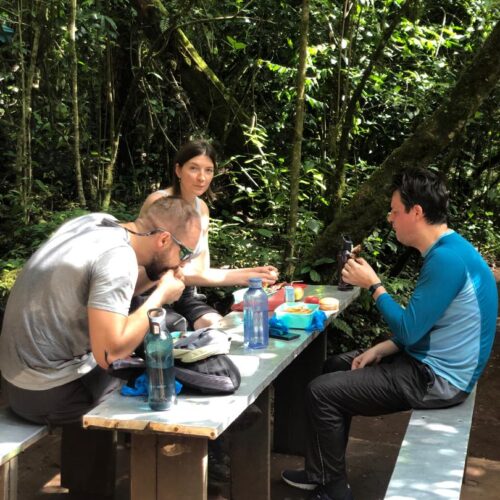 Mount Kilimanjaro Day Hike: The Marangu Route Trek