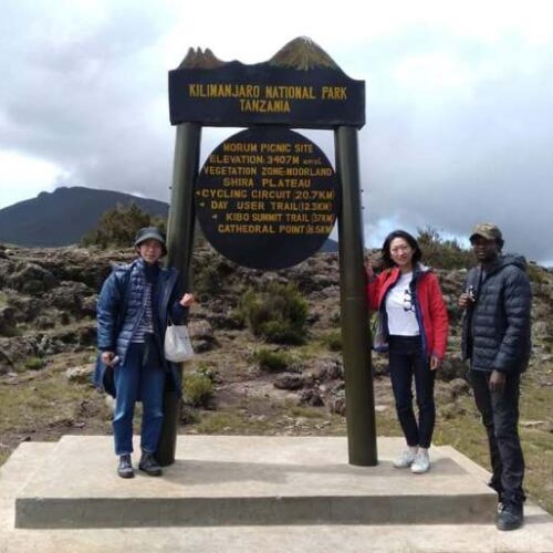 Mount Kilimanjaro Day Hike Shira Plateau with Climb Kilimanjaro and Safaris