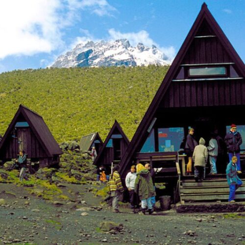 Mount Kilimanjaro Day Hike: The Marangu Route Trek
