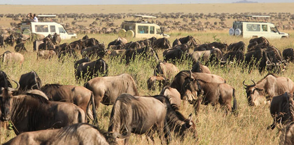 Ultimate 3-Day Serengeti and Ngorongoro Camping Safari