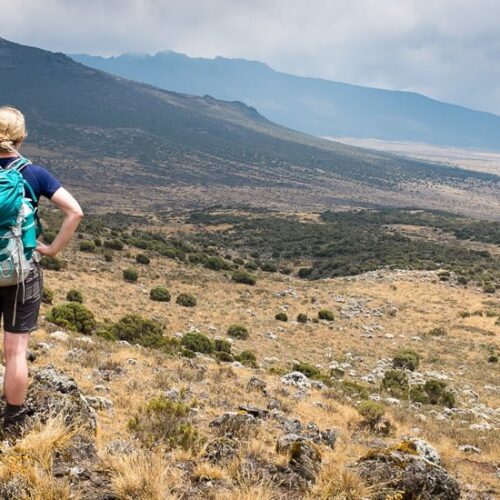 Mount Kilimanjaro Day Hike Shira Plateau with Climb Kilimanjaro and Safaris