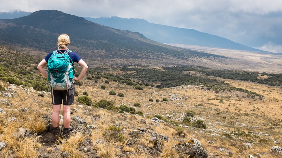 Mount Kilimanjaro Day Hike Shira Plateau with Climb Kilimanjaro and Safaris