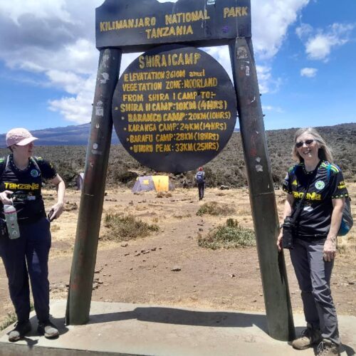 Mount Kilimanjaro Day Hike Shira Plateau with Climb Kilimanjaro and Safaris