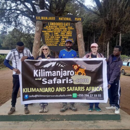 Mount Kilimanjaro Day Hike Shira Plateau with Climb Kilimanjaro and Safaris