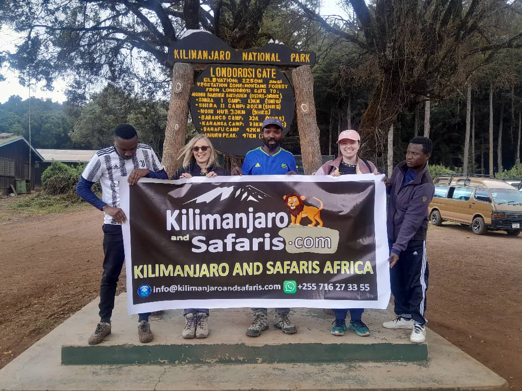 Mount Kilimanjaro Day Hike Shira Plateau with Climb Kilimanjaro and Safaris