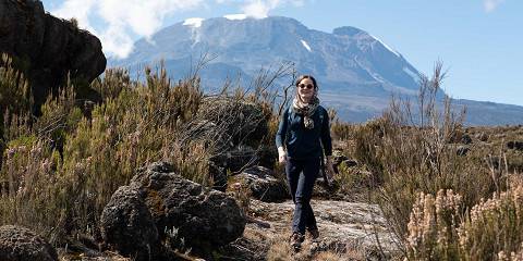 Mount Kilimanjaro Day Hike Shira Plateau with Climb Kilimanjaro and Safaris