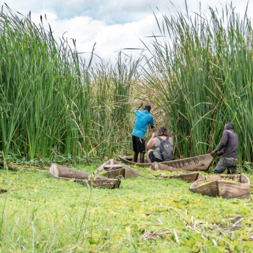Lake Jipe Tour Tanzania | Day Trip & Boat Safari from Moshi