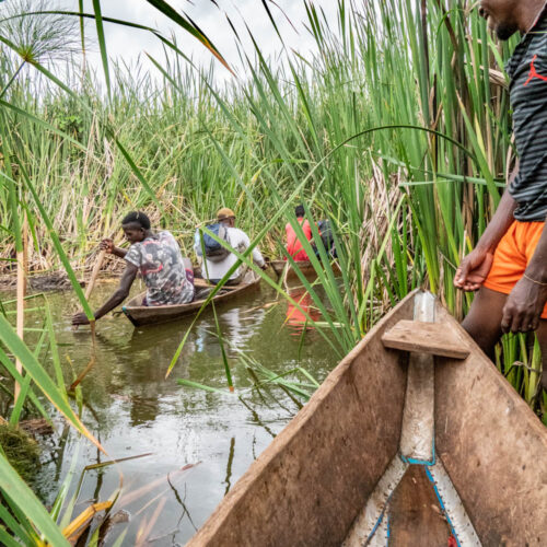 Lake Jipe Tour Tanzania | Day Trip & Boat Safari from Moshi