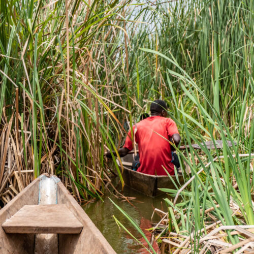 Lake Jipe Tour Tanzania | Day Trip & Boat Safari from Moshi