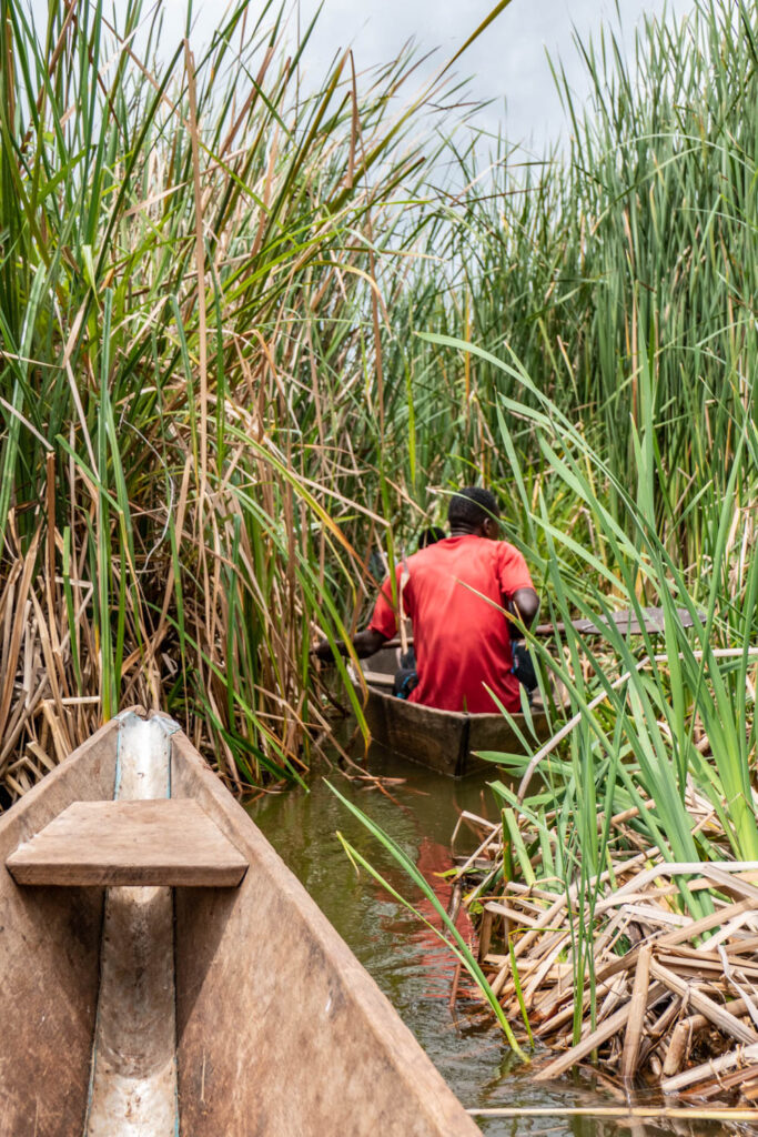 Lake Jipe Tour Tanzania | Day Trip & Boat Safari from Moshi