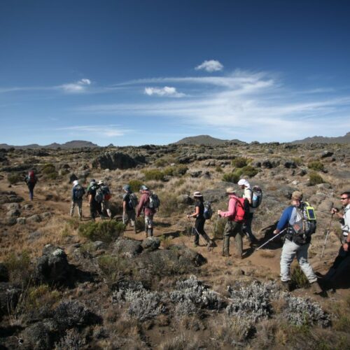 Mount Kilimanjaro Day Hike Shira Plateau with Climb Kilimanjaro and Safaris