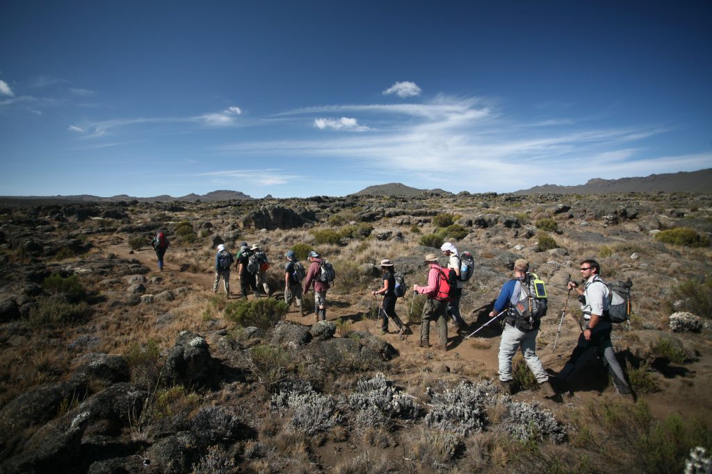 Mount Kilimanjaro Day Hike Shira Plateau with Climb Kilimanjaro and Safaris