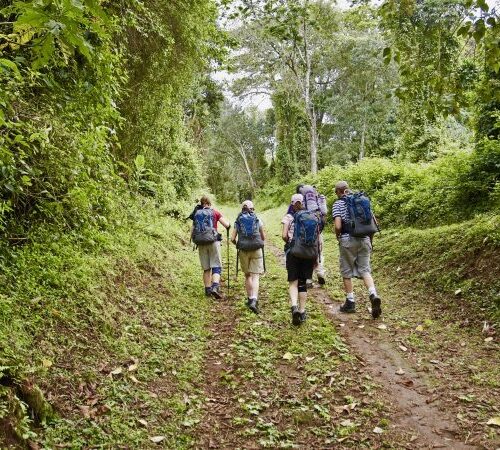 Mount Kilimanjaro Day Hike: The Marangu Route Trek
