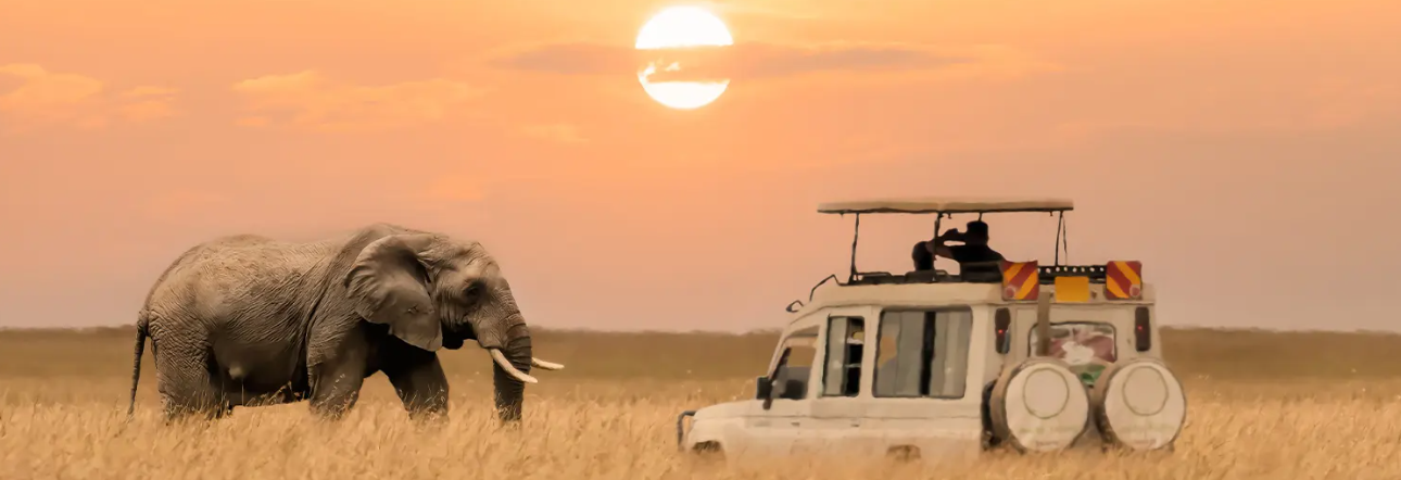 #Safari in Tanzania and Kenya Ultimate Tanzania-Kenya Safari: 10 Best Itineraries